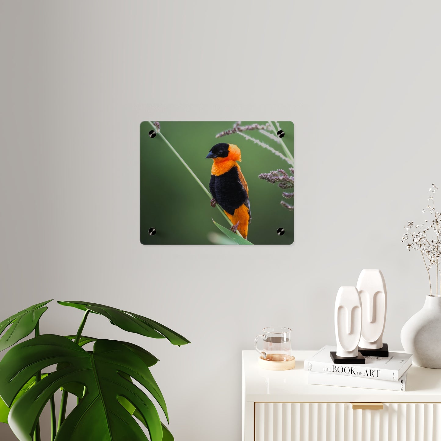 Acrylic Wall Art Panel - Vibrant Northern Red Bishop Weaver from Africa
