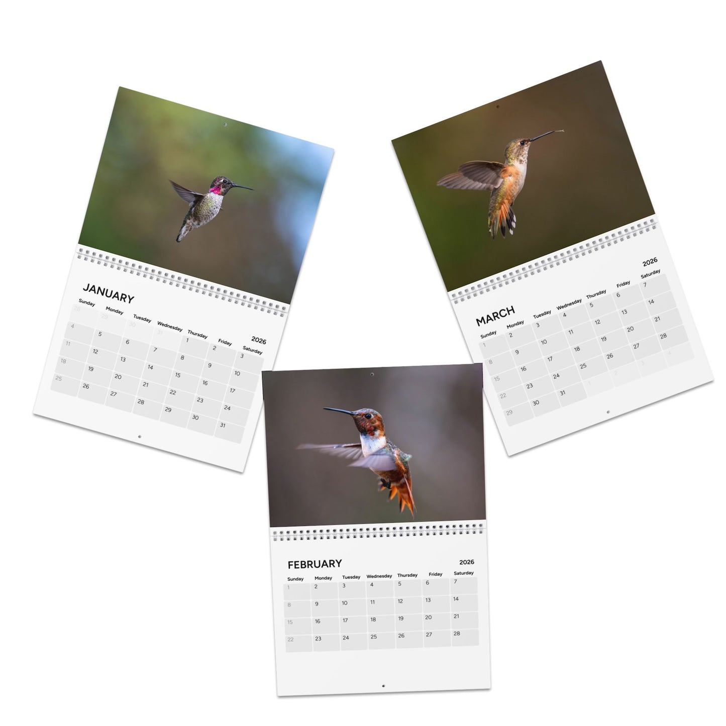 2026 Hummingbird Calendar — Joy, Resilience & Hope