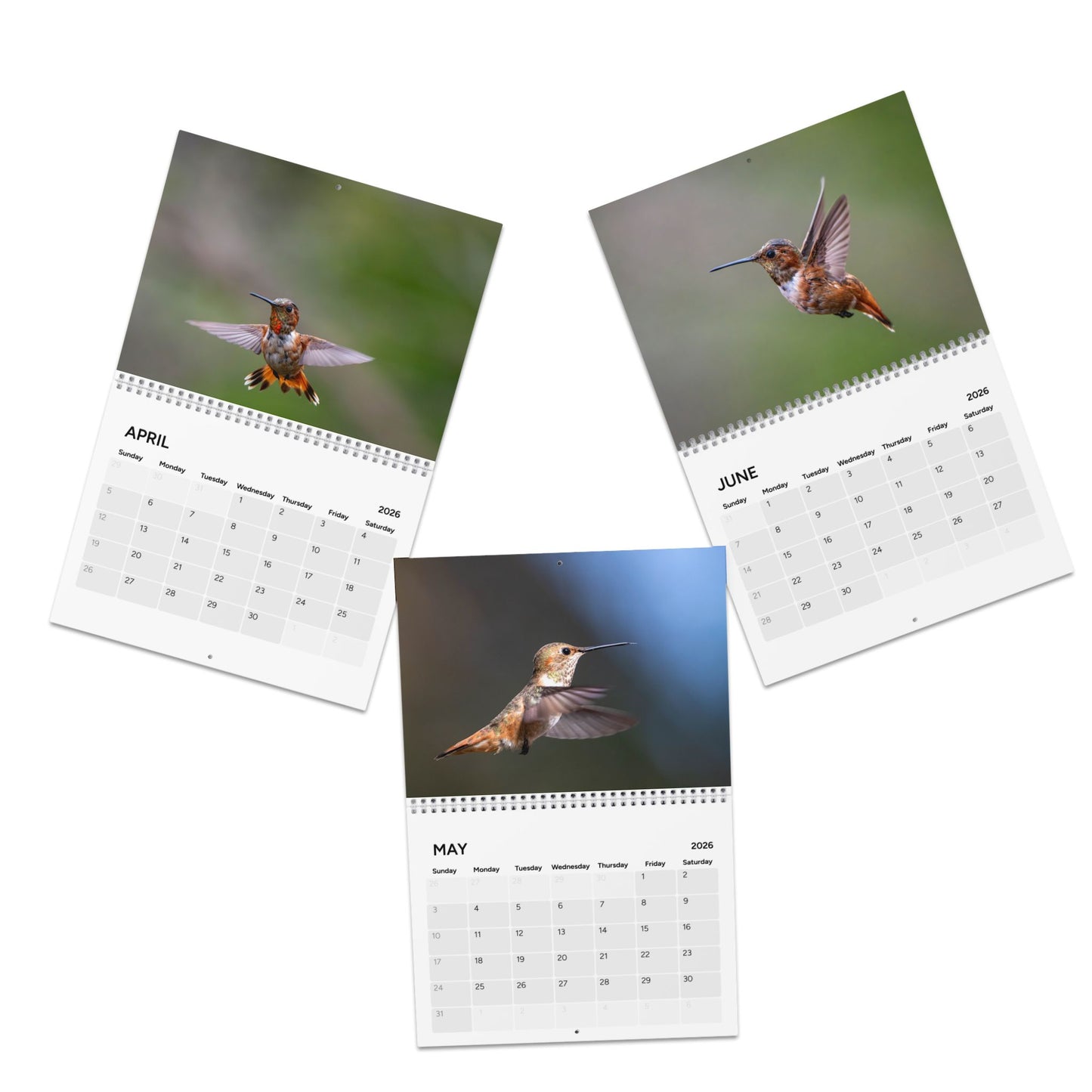 2026 Hummingbird Calendar — Joy, Resilience & Hope