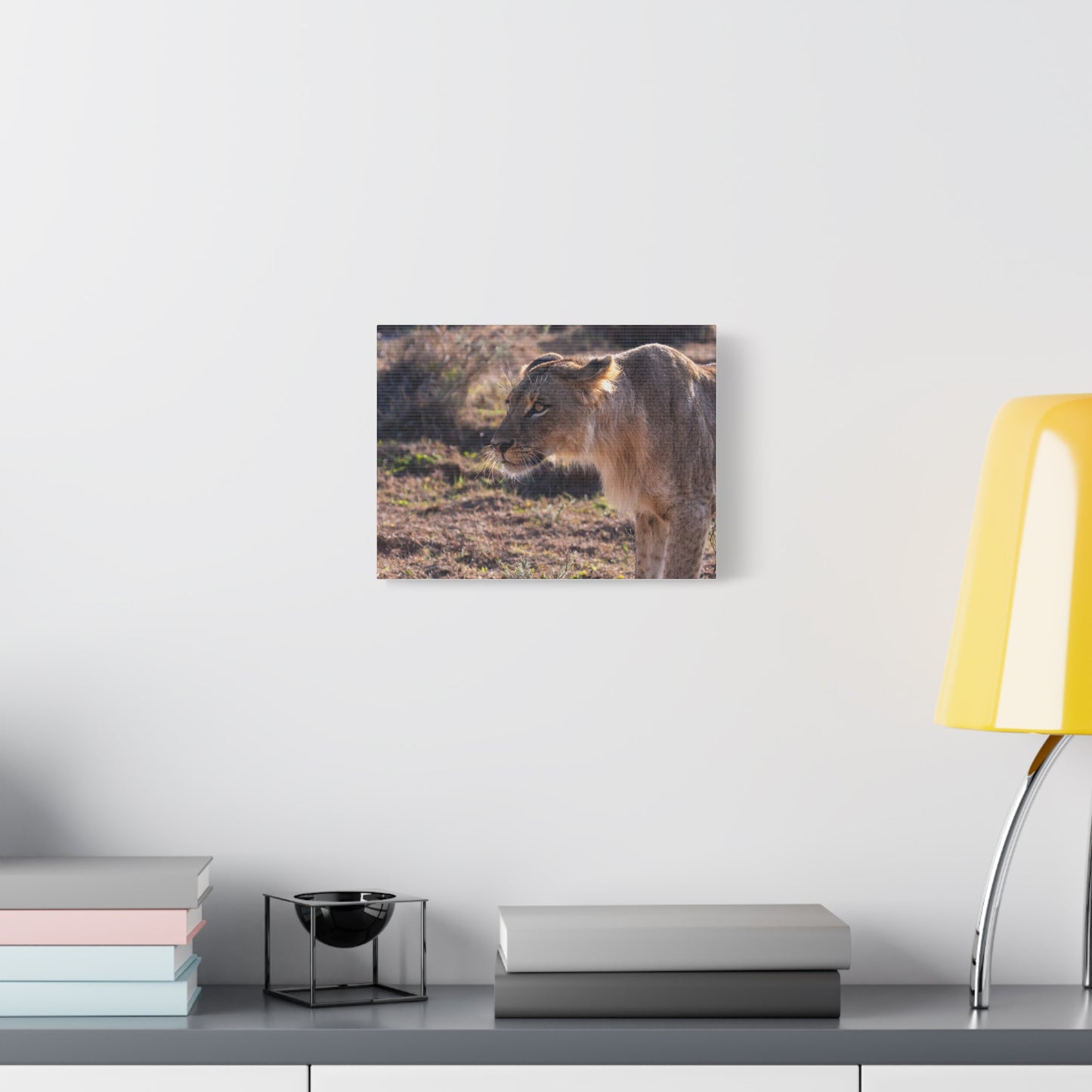 Canvas Print - The Lion King of the Jungle in the African Savannah
