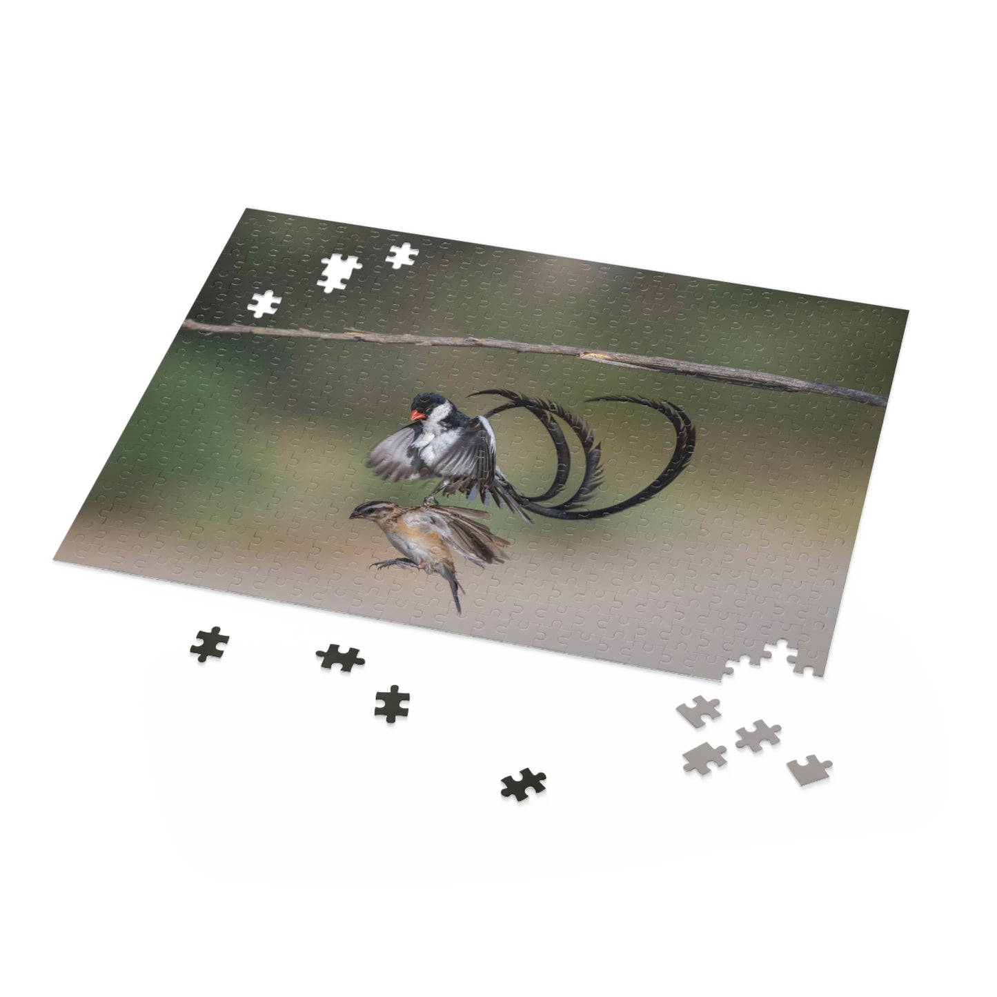 Puzzle, Male and Female Pin Tailed Wydah in Flight, Jigsaw Game, Bird Lover Gift, Relaxation Activity, 120, 252, 500-Piece