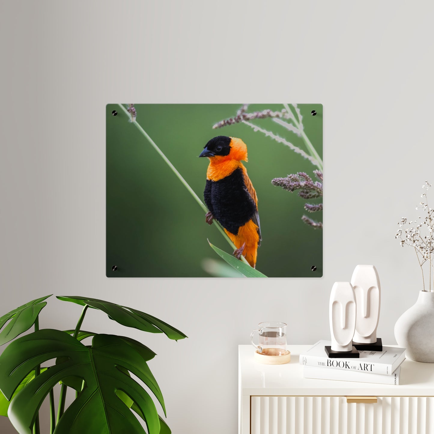 Acrylic Wall Art Panel - Vibrant Northern Red Bishop Weaver from Africa