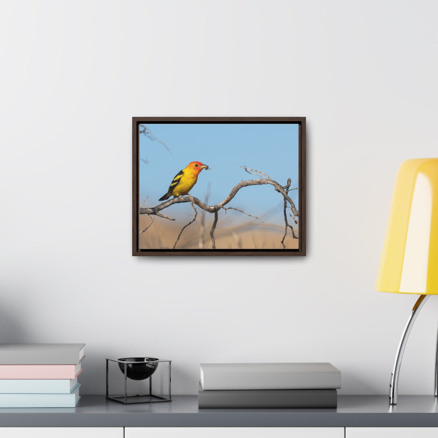 Canvas Wrap - Western Tanager
