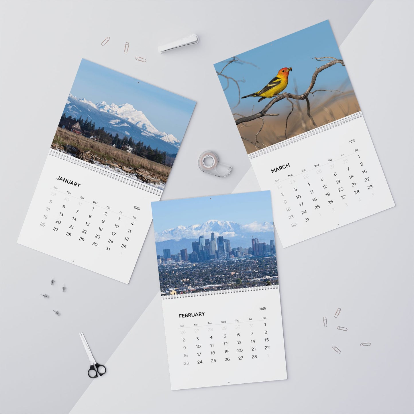 Nature Photography Wall Calendars (2025) -  Beautiful Scenes to Enjoy All Year Long