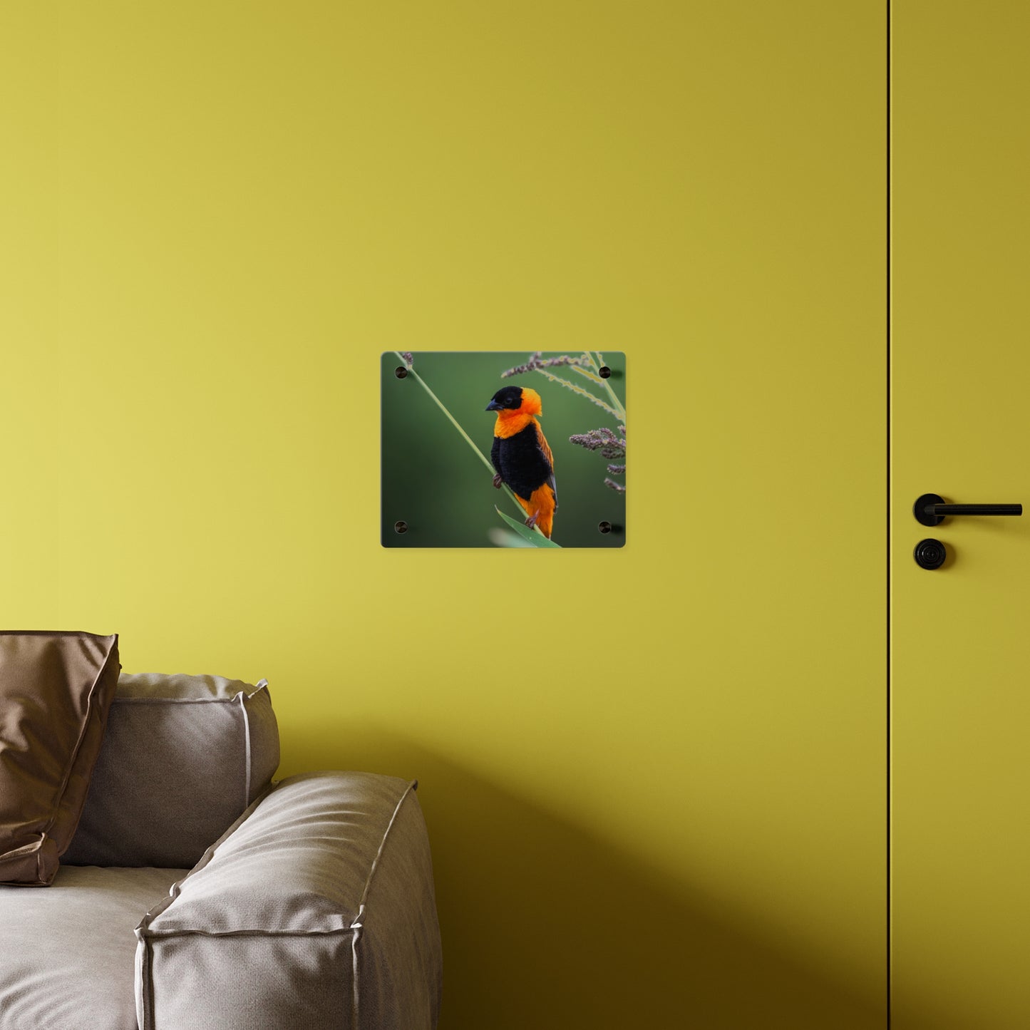 Acrylic Wall Art Panel - Vibrant Northern Red Bishop Weaver from Africa