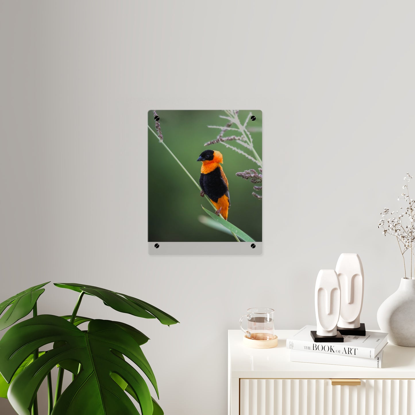 Acrylic Wall Art Panel - Vibrant Northern Red Bishop Weaver from Africa