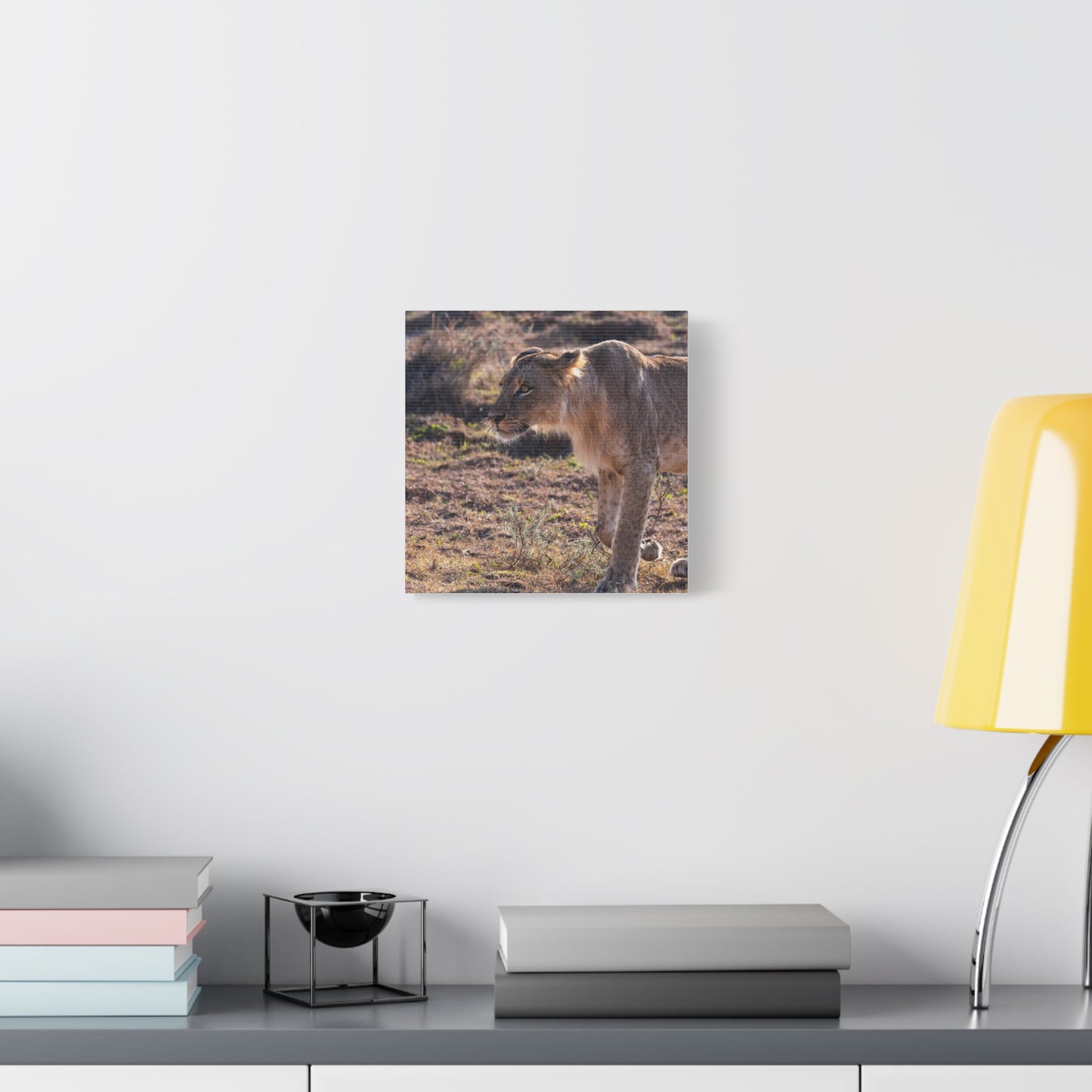 Canvas Print - The Lion King of the Jungle in the African Savannah