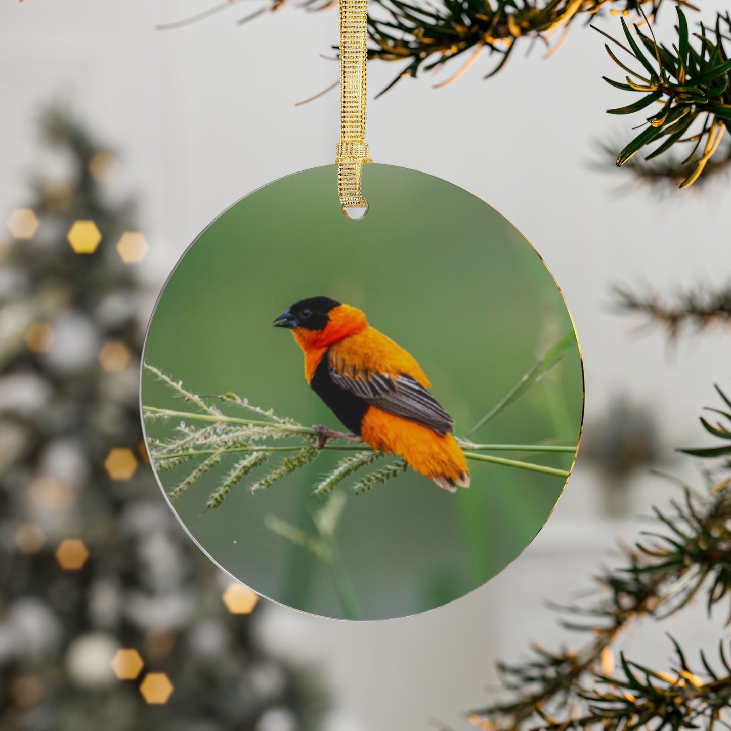 Ornament, Beautiful Northern Red Bishop from Africa in full breeding plumage, Holiday Decor, Bird Lover Gift, Christmas Ornament, Tree